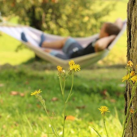 Urlaub Am Zechnerhof Apartment Strassburg ภายนอก รูปภาพ