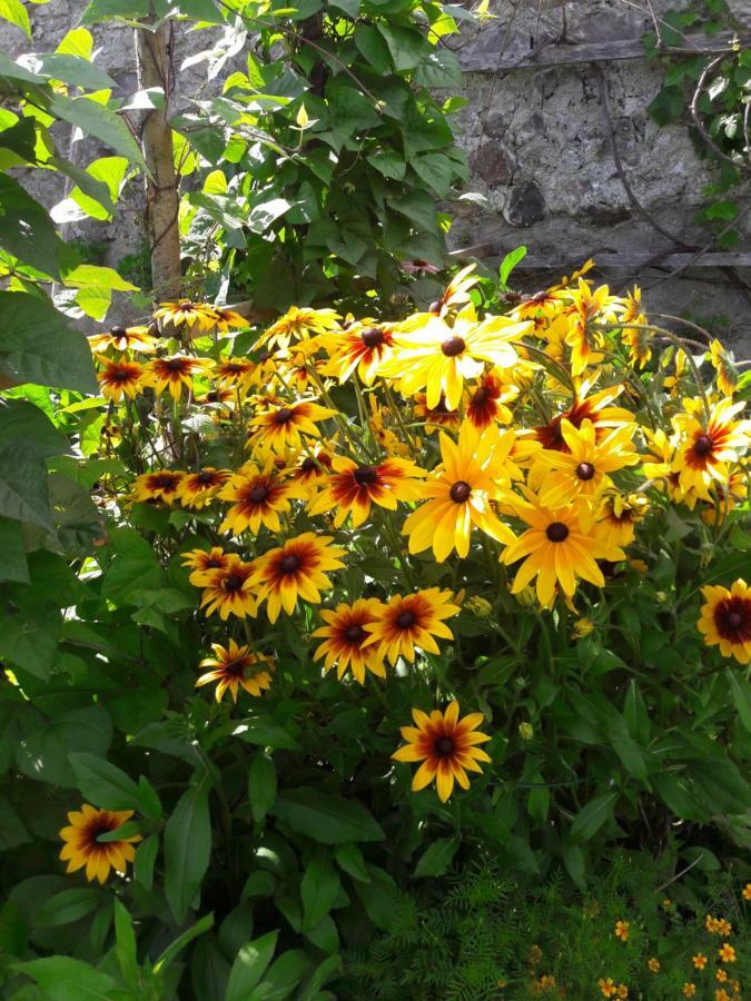 Urlaub Am Zechnerhof Apartment Strassburg ภายนอก รูปภาพ